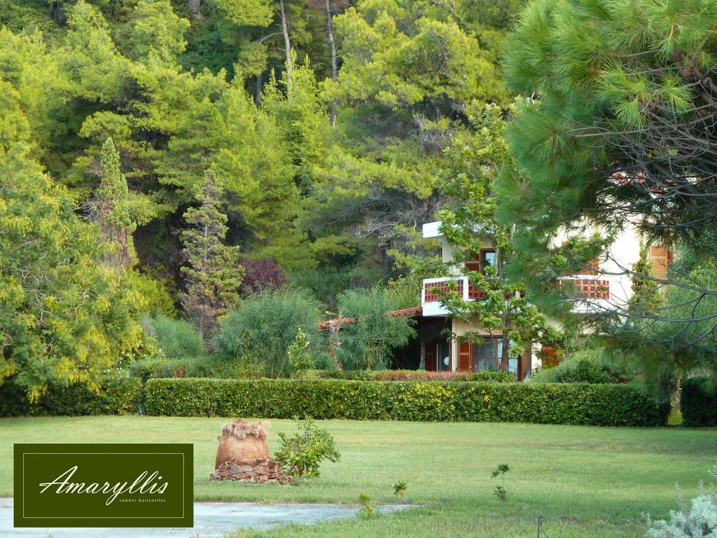 Amaryllis Summer Maisonettes Possidi Room photo